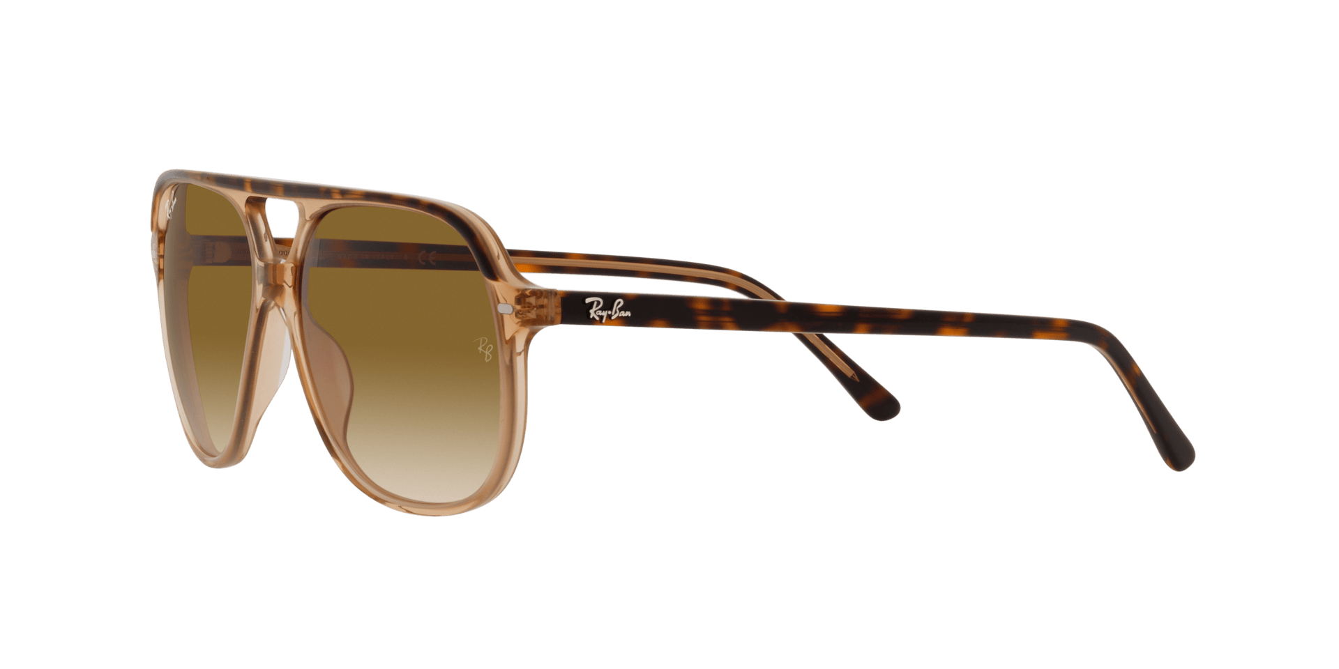 0RB2198 Acetate Unisex Sunglasses