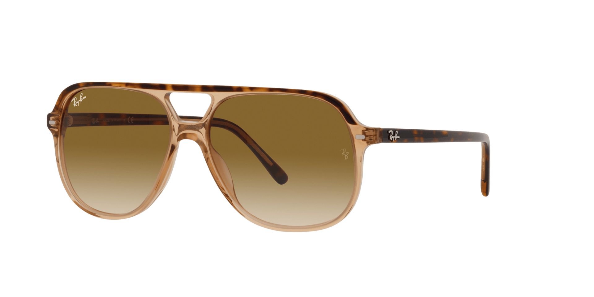 0RB2198 Acetate Unisex Sunglasses