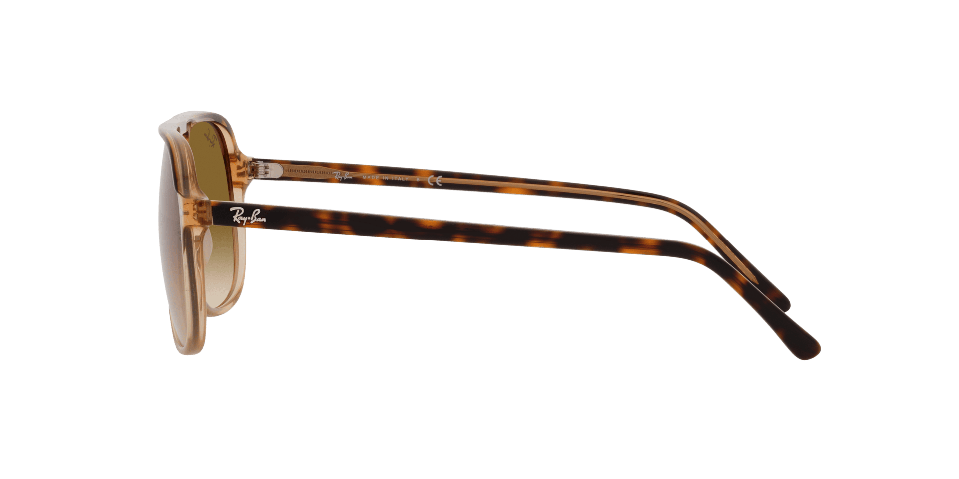 0RB2198 Acetate Unisex Sunglasses