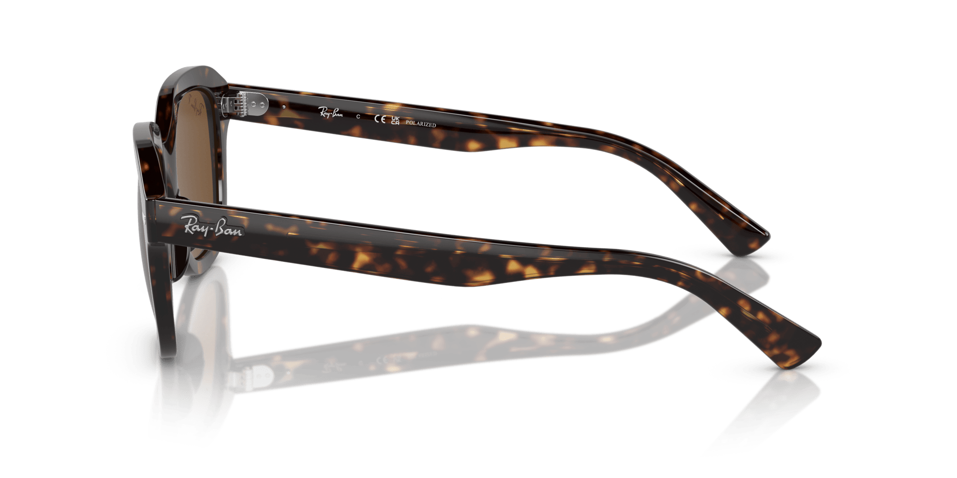 0RB4398 Propionate Unisex Sunglasses