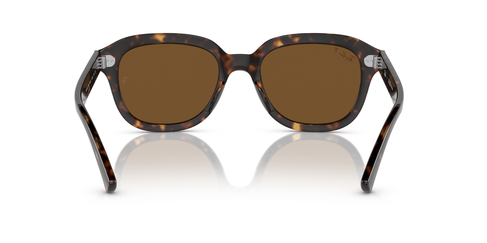 0RB4398 Propionate Unisex Sunglasses