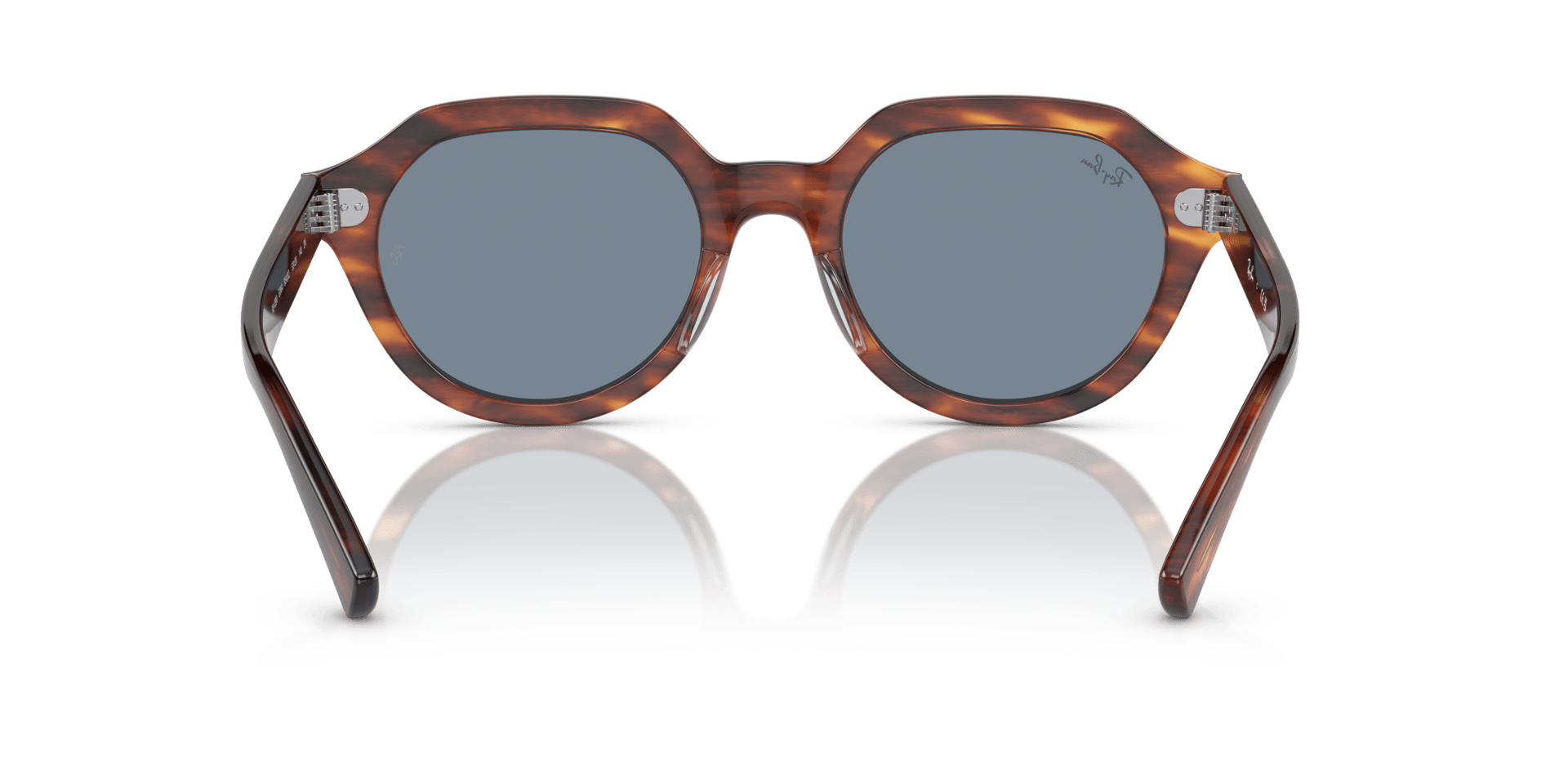 0RB4399 Propionate Unisex Sunglasses