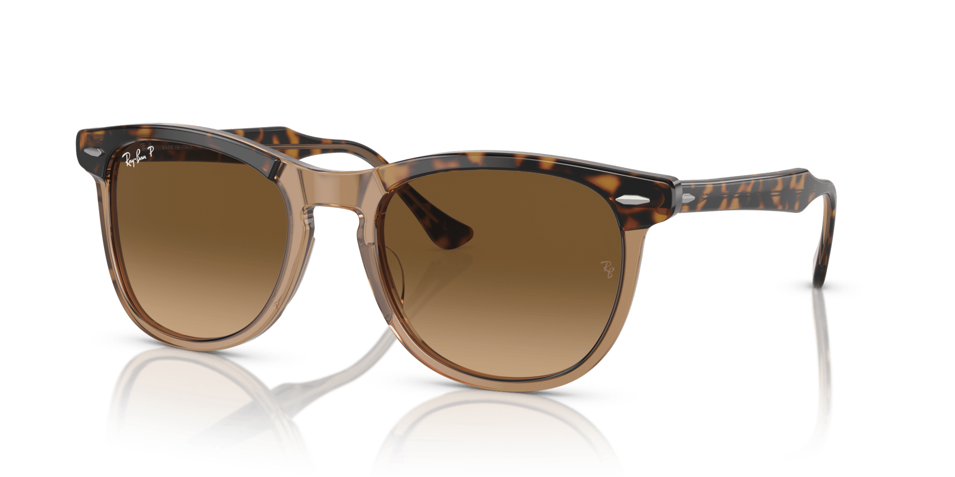 0RB2398 Acetate Unisex Sunglasses
