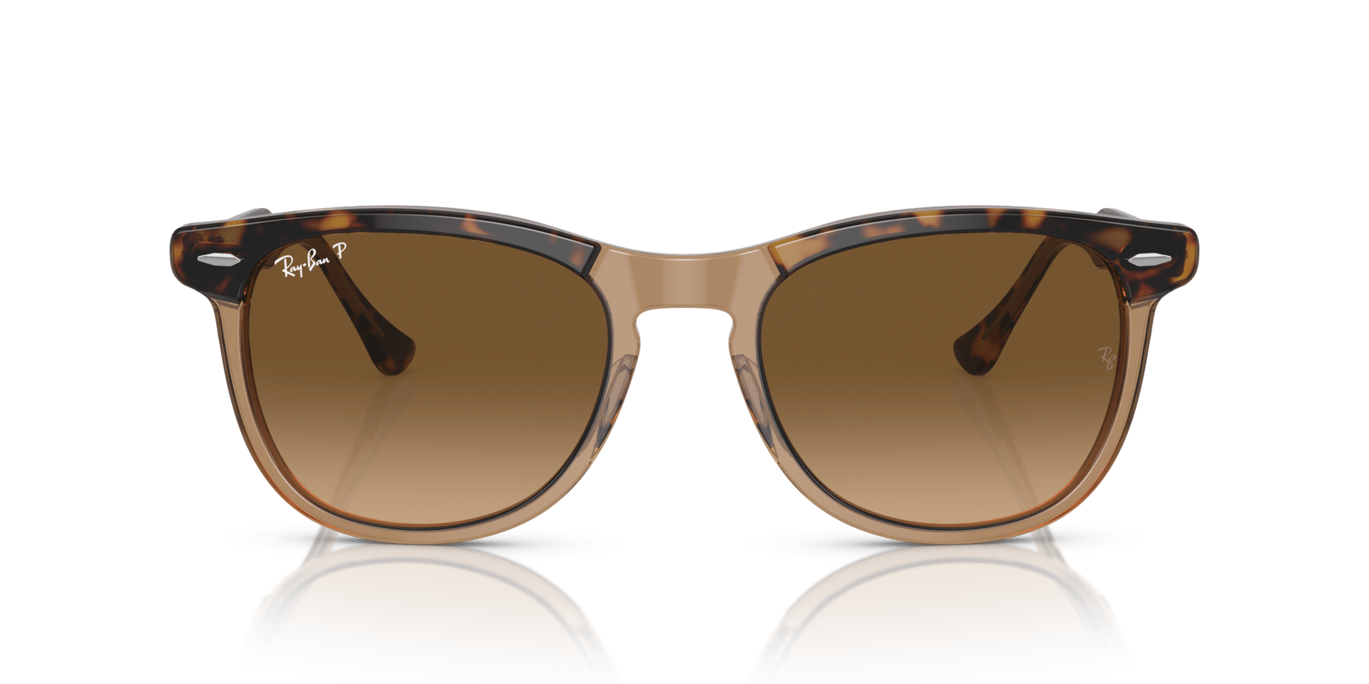 0RB2398 Acetate Unisex Sunglasses
