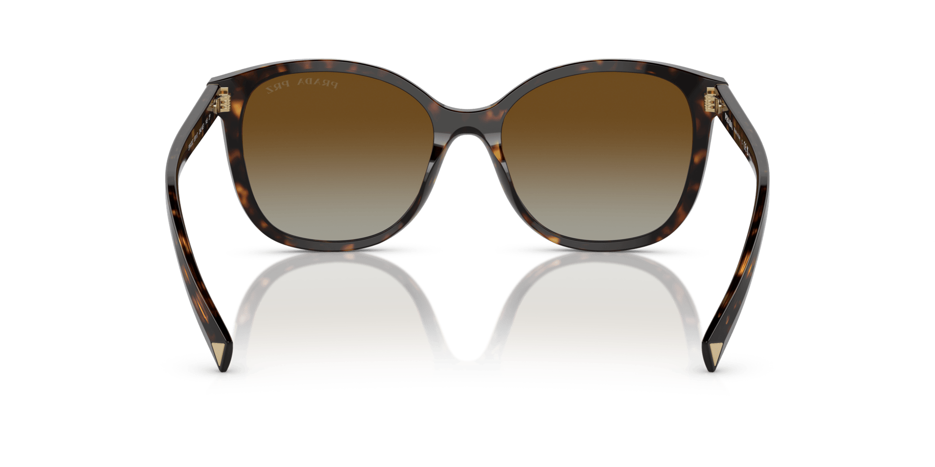 0PR 22ZS Acetate Women Sunglasses