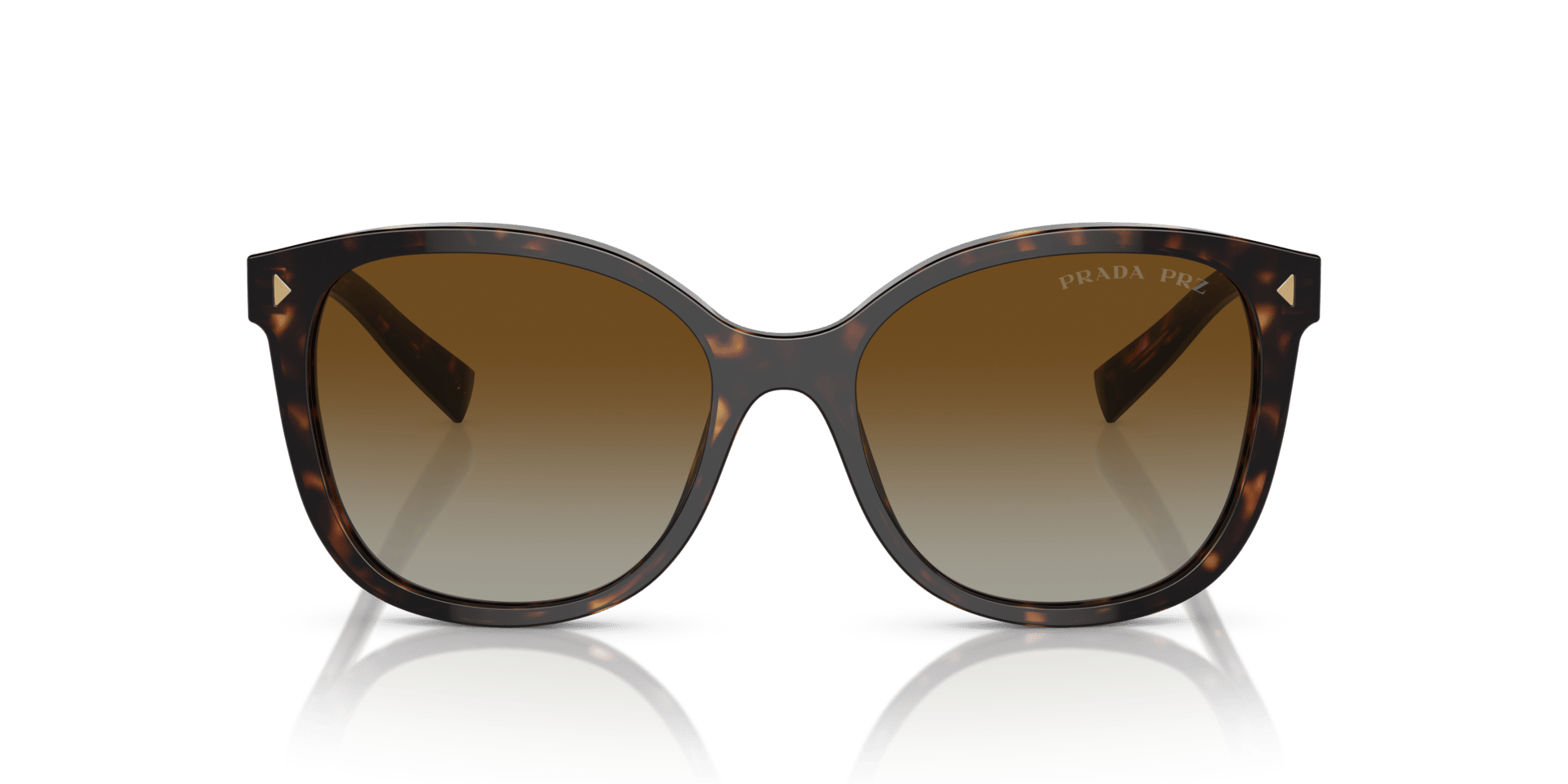 0PR 22ZS Acetate Women Sunglasses