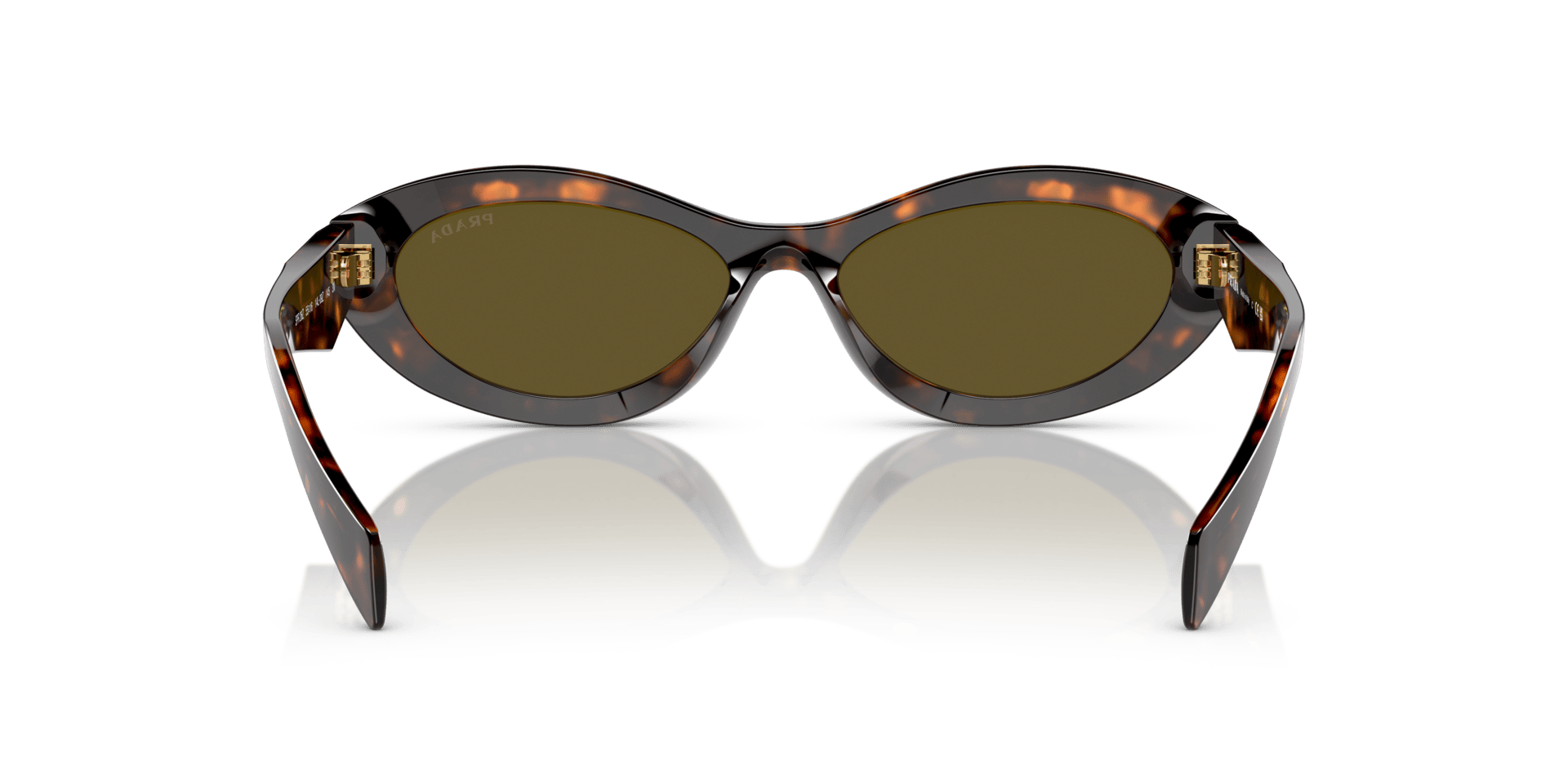 0PR 26ZS Acetate Women Sunglasses