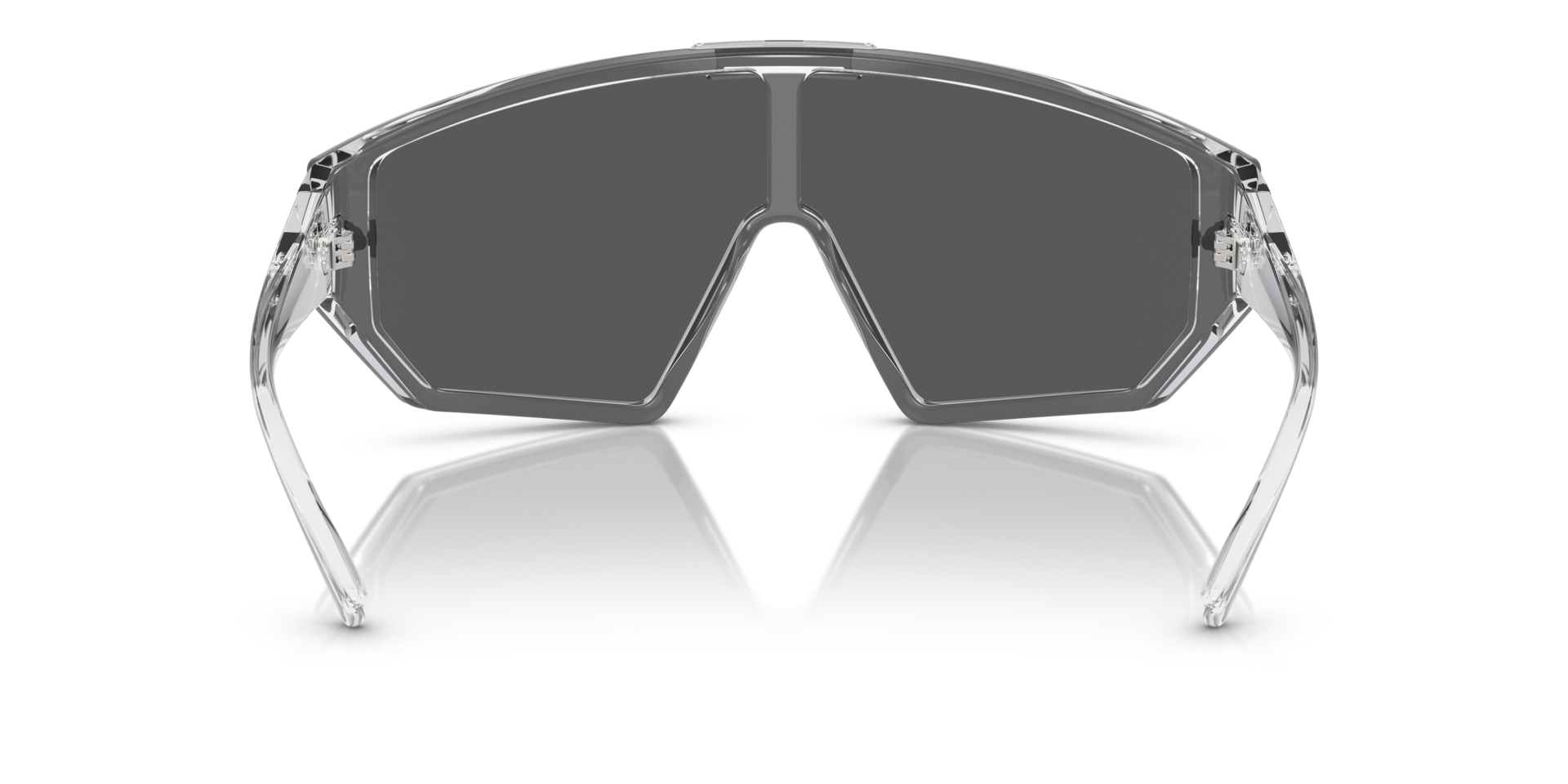 0VE4461 Injected Men Sunglasses