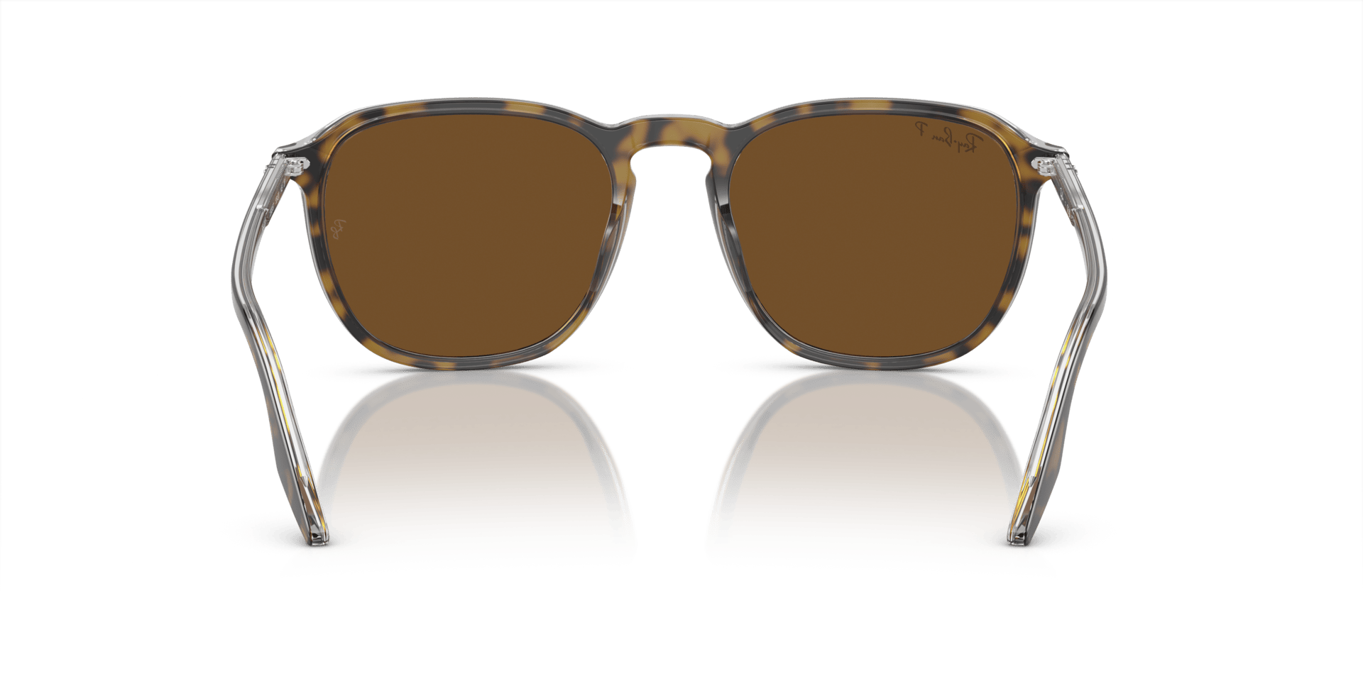 0RB2203 Acetate Unisex Sunglasses