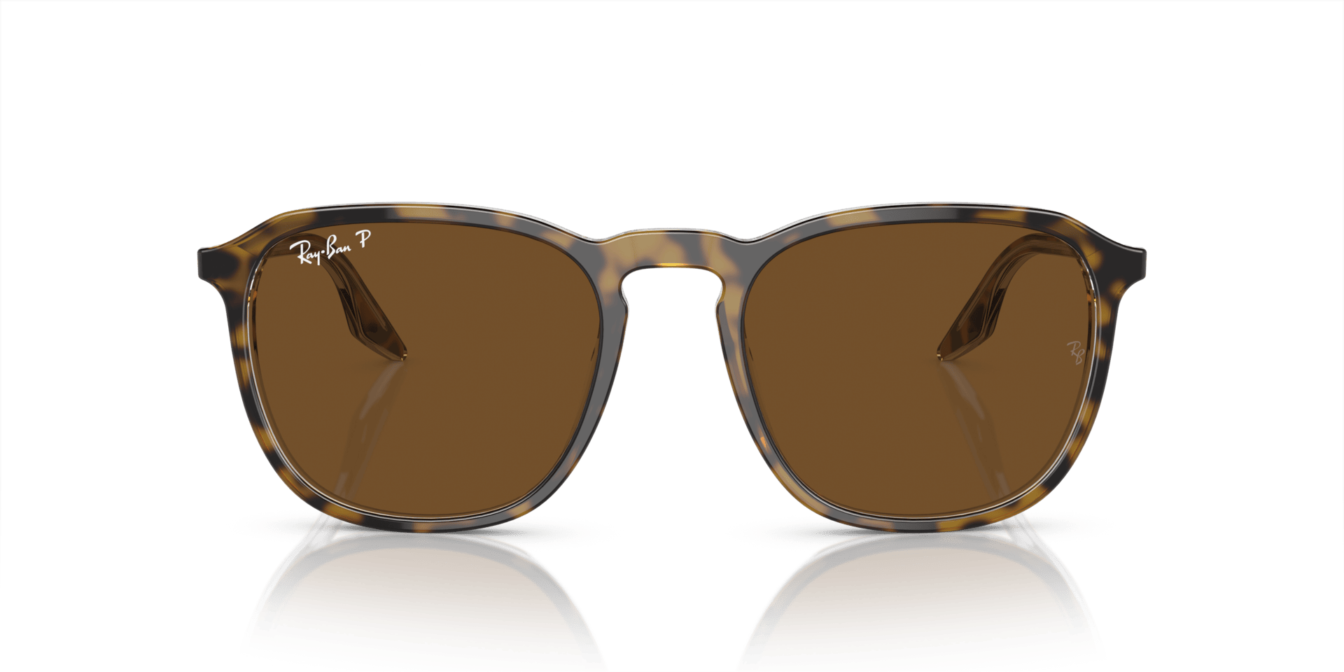 0RB2203 Acetate Unisex Sunglasses