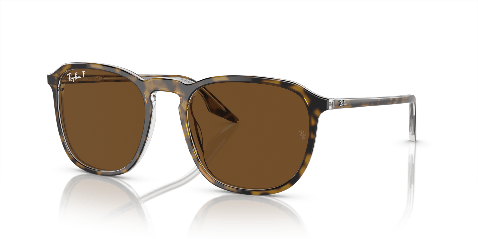 0RB2203 Acetate Unisex Sunglasses