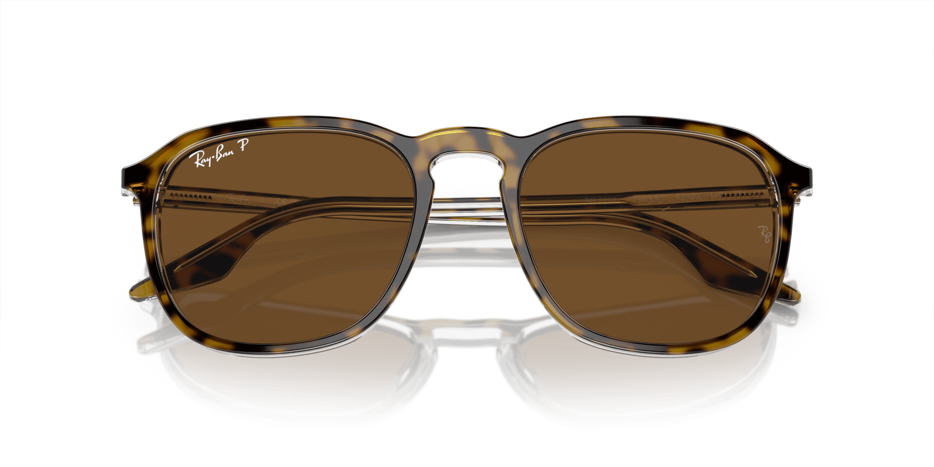 0RB2203 Acetate Unisex Sunglasses