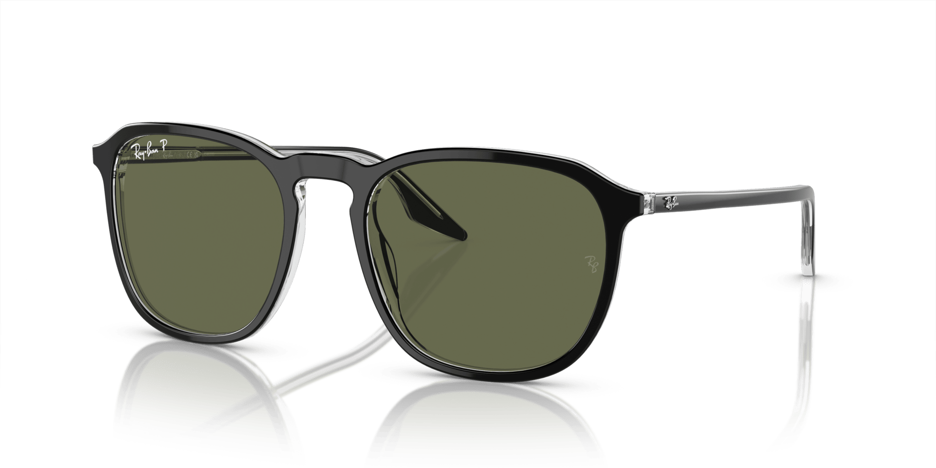 0RB2203 Acetate Unisex Sunglasses