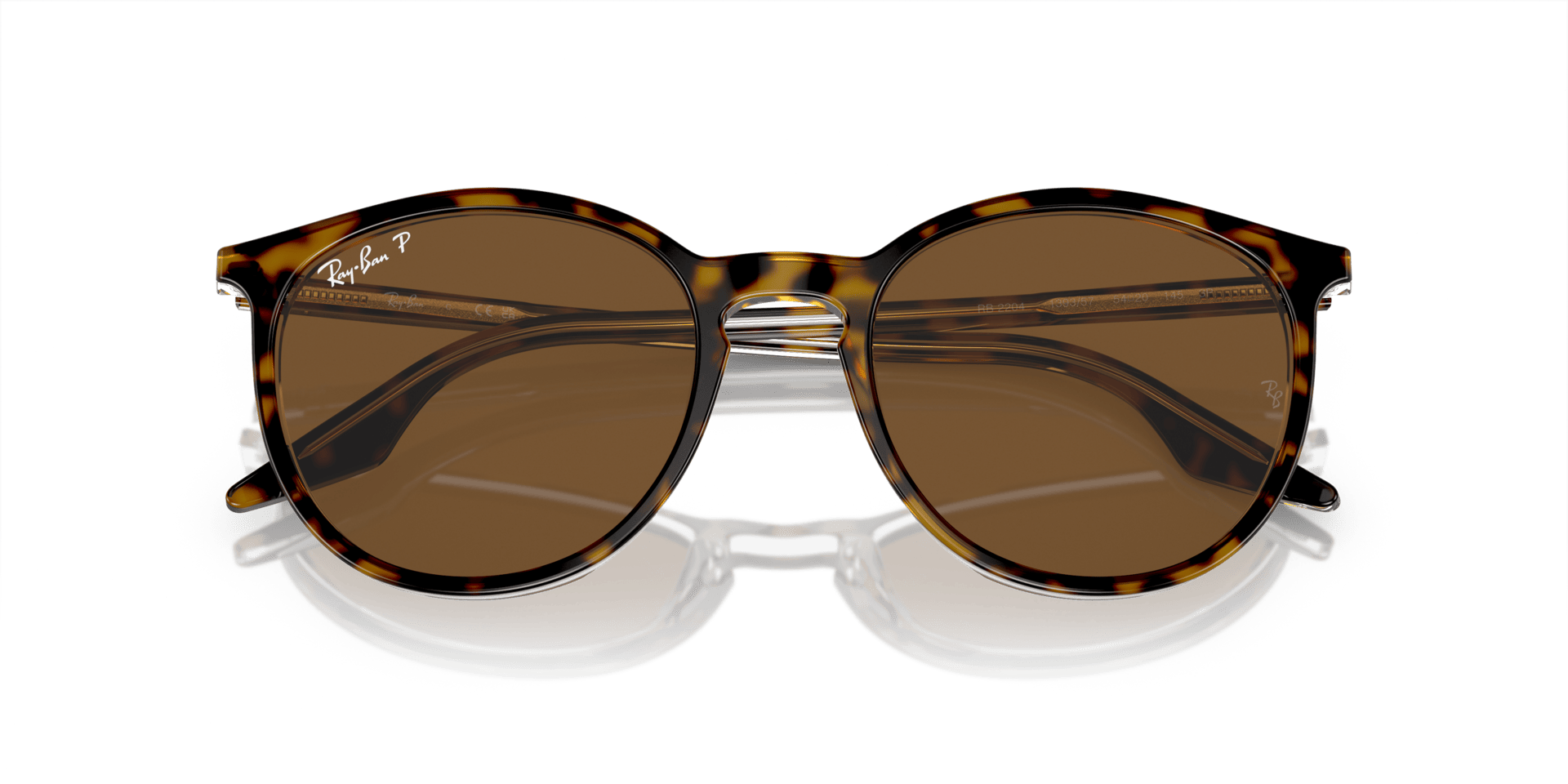 0RB2204 Acetate Unisex Sunglasses
