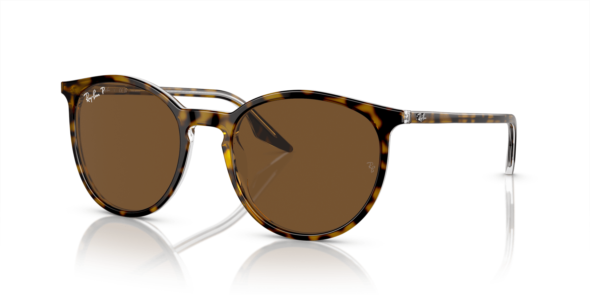 0RB2204 Acetate Unisex Sunglasses