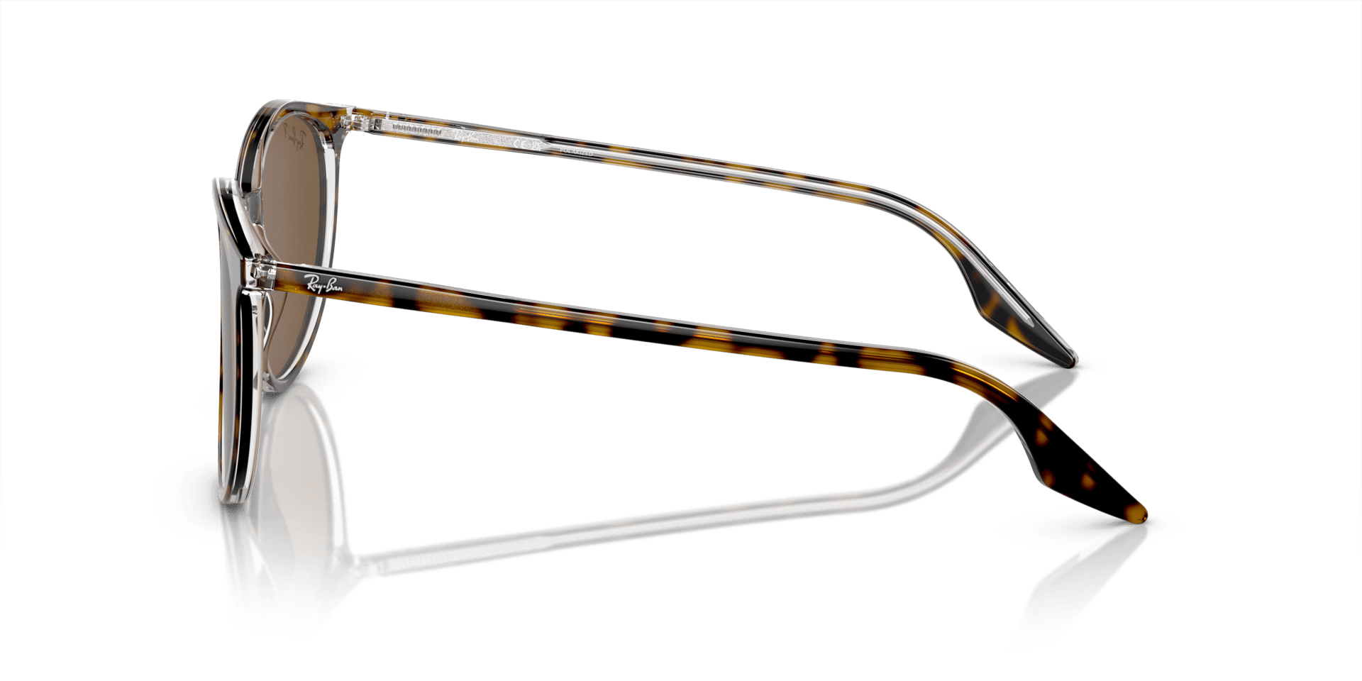 0RB2204 Acetate Unisex Sunglasses