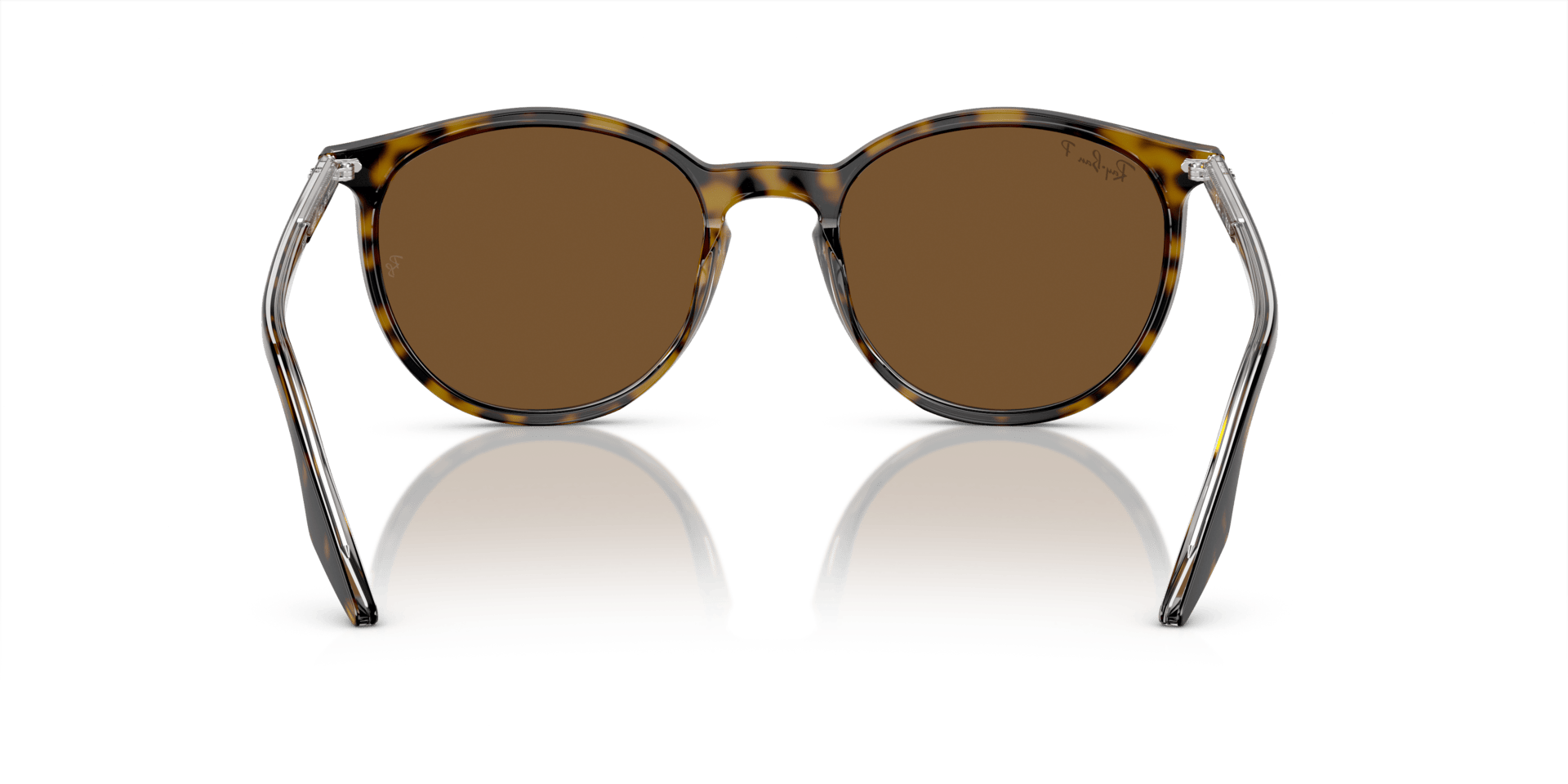 0RB2204 Acetate Unisex Sunglasses