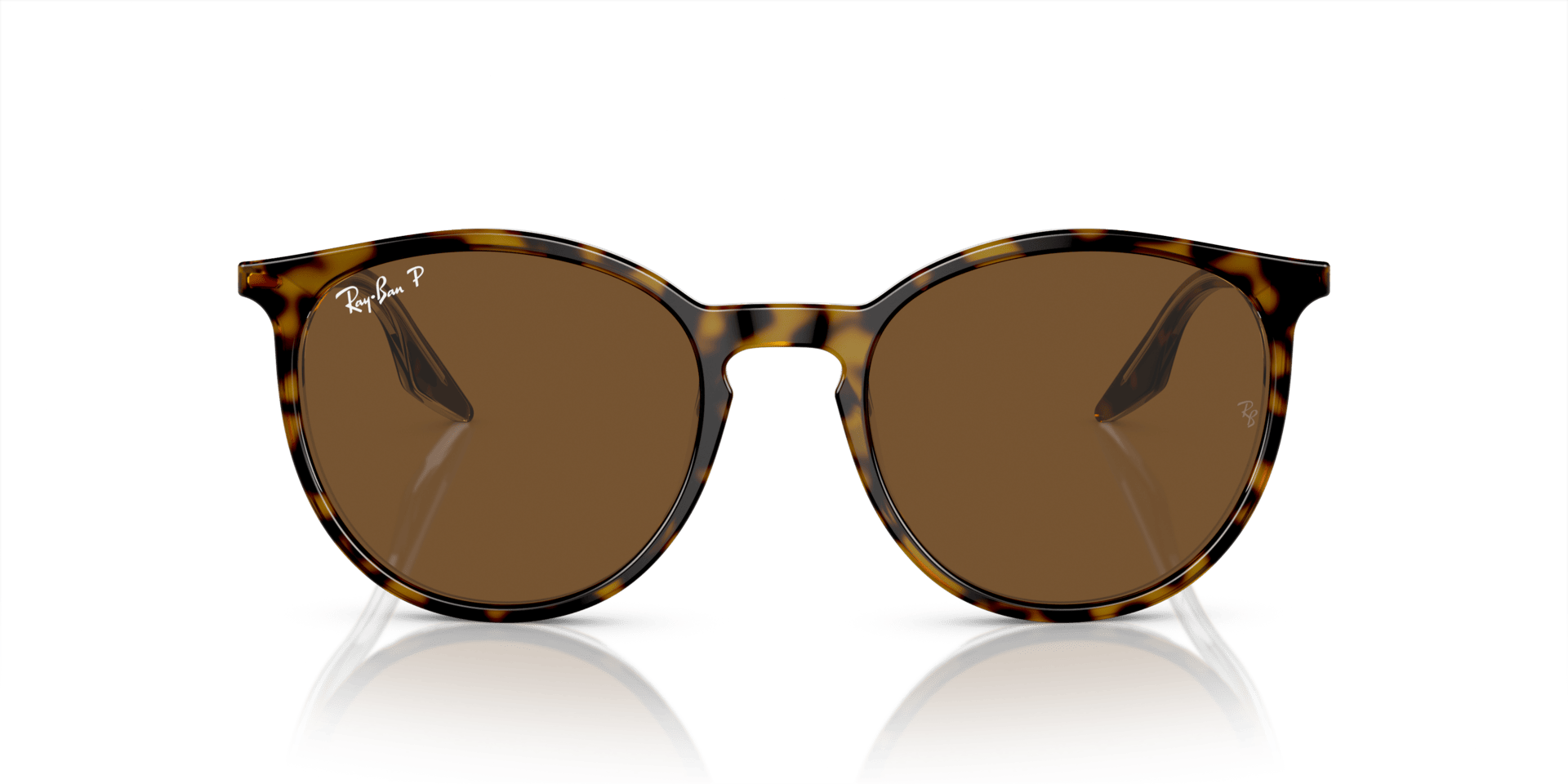 0RB2204 Acetate Unisex Sunglasses