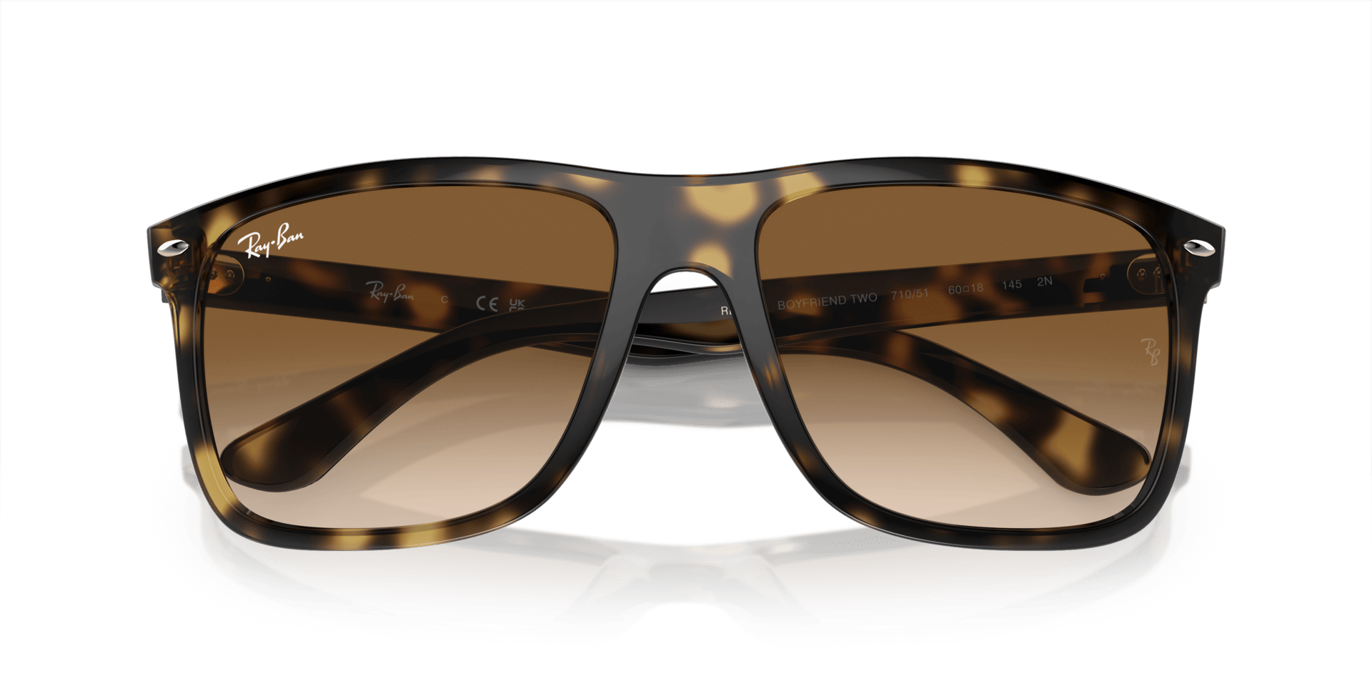 0RB4547 Injected Unisex Sunglasses