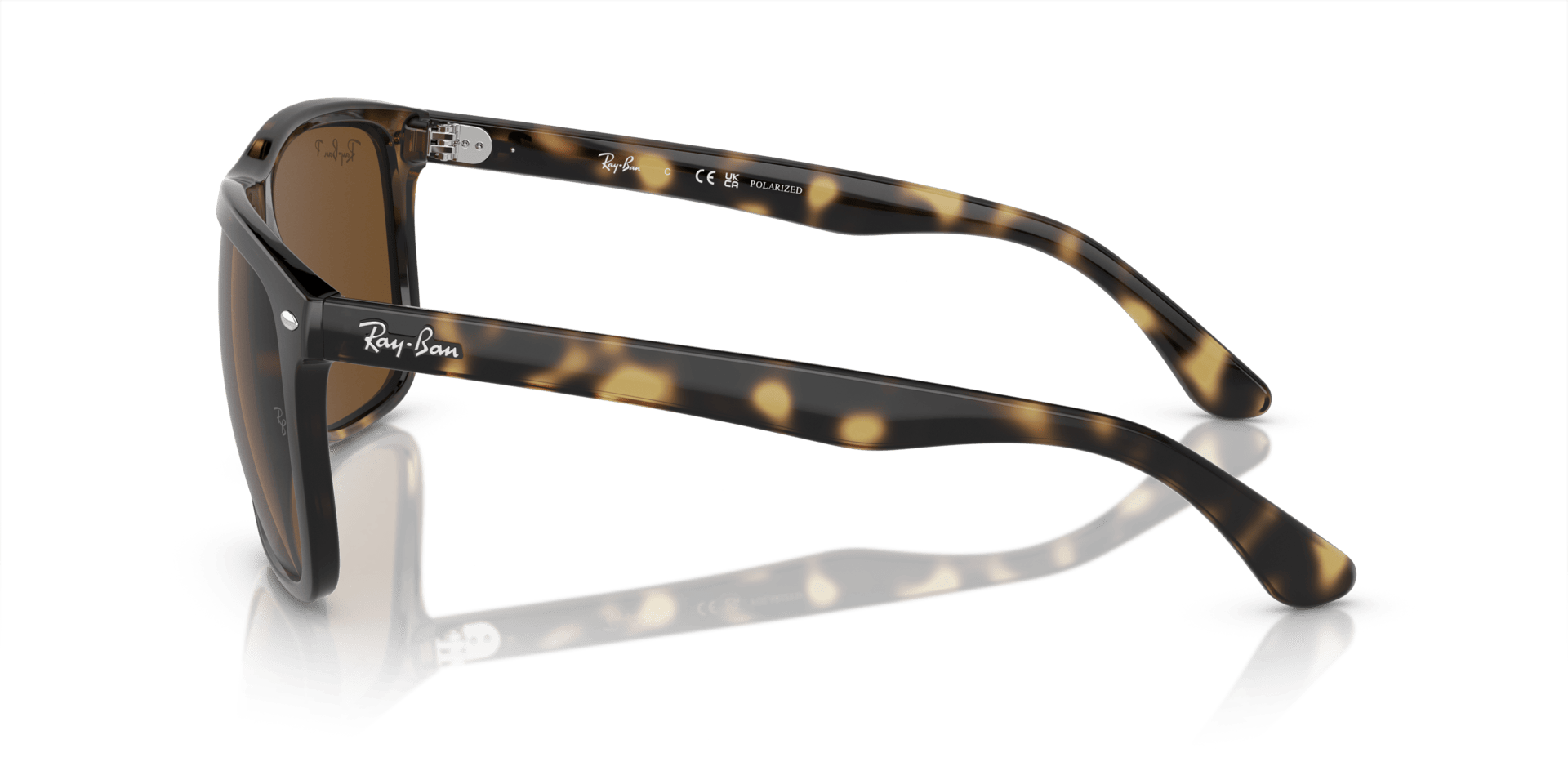 0RB4547 Injected Unisex Sunglasses