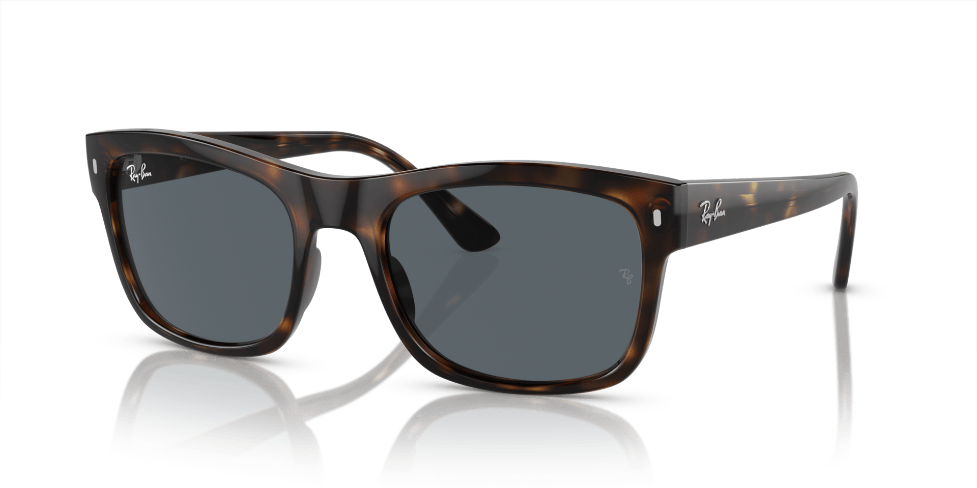 0RB4428 Propionate Unisex Sunglasses