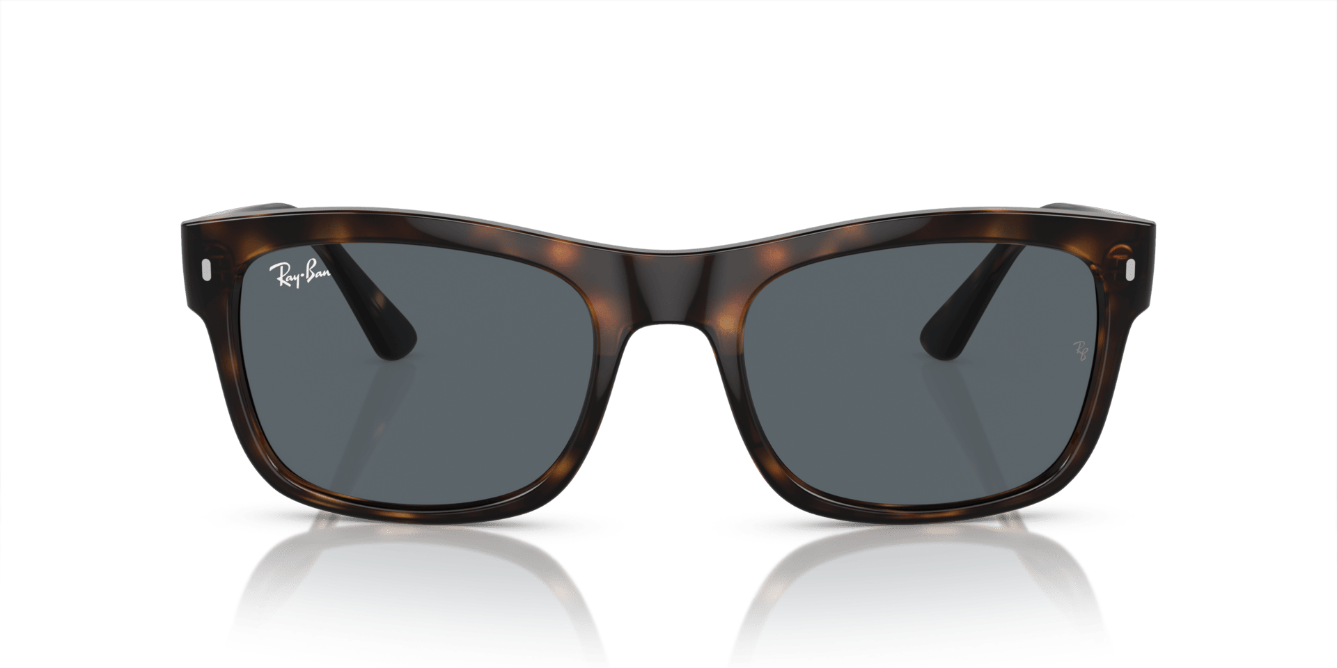 0RB4428 Propionate Unisex Sunglasses