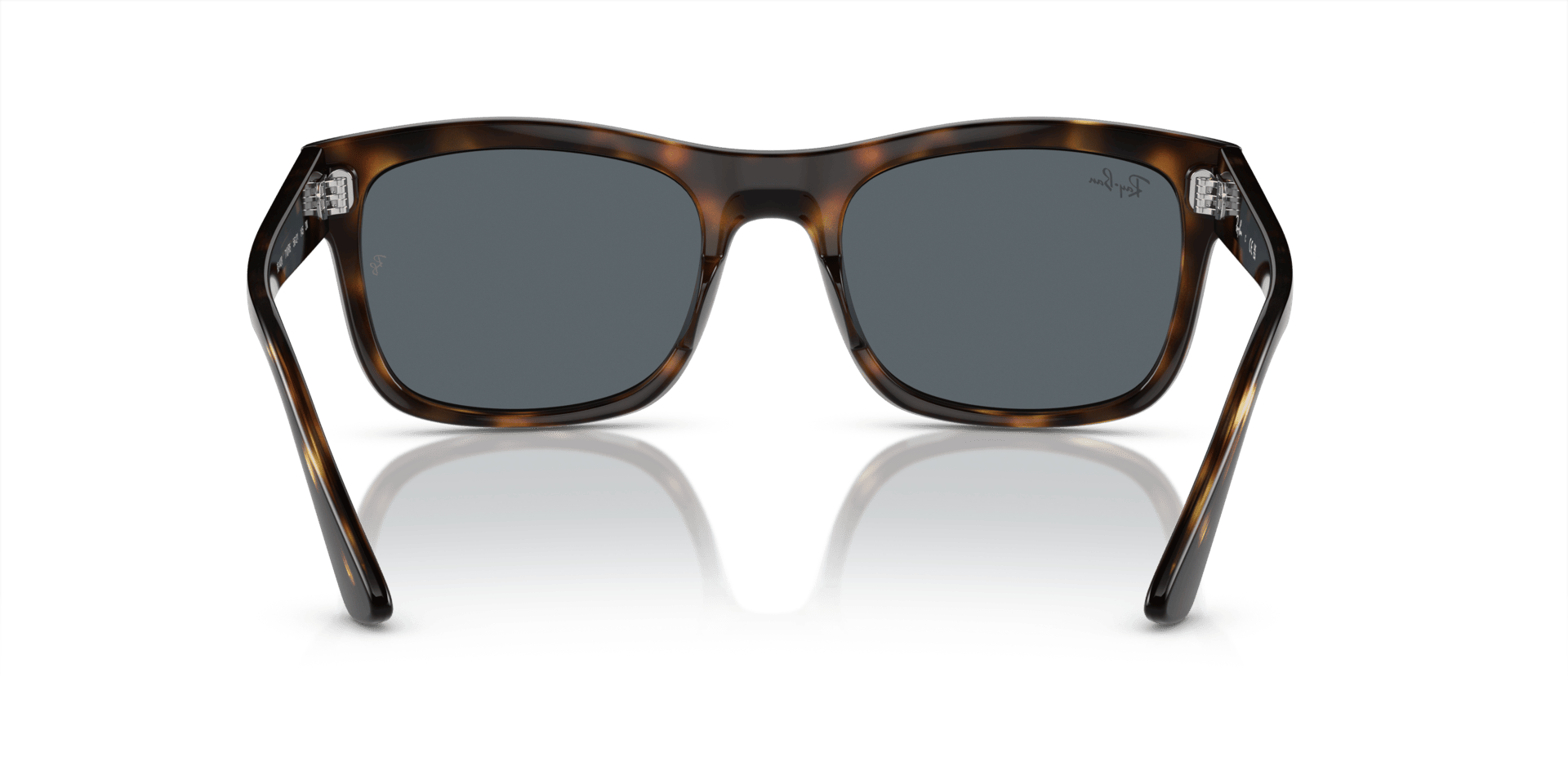0RB4428 Propionate Unisex Sunglasses