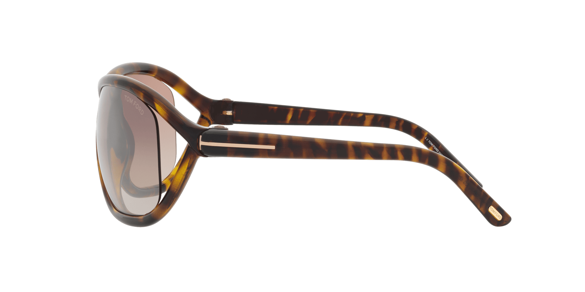 0TR001753 Injected Women Sunglasses