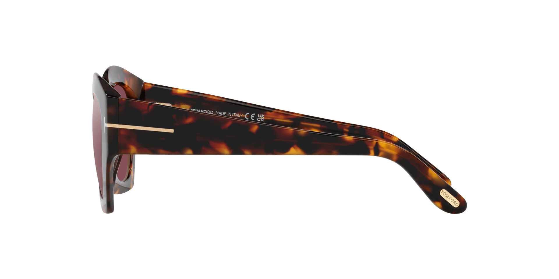 0TR001784 Acetate Women Sunglasses