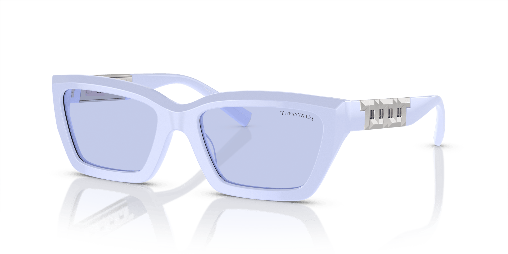 0TF4213 Acetate Unisex Sunglasses
