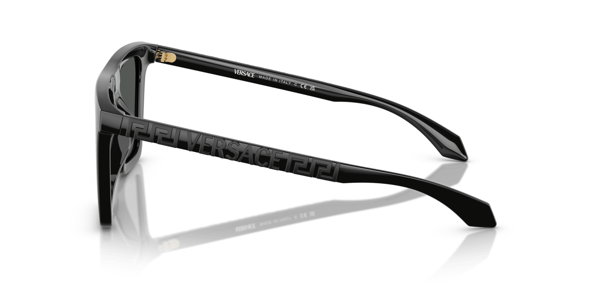 0VE4468U Injected Men Sunglasses