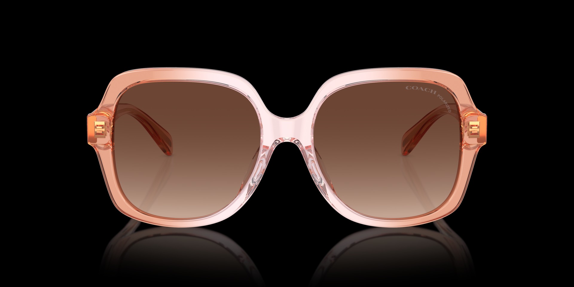 Coach Light Brown Acetate Women Sunglass