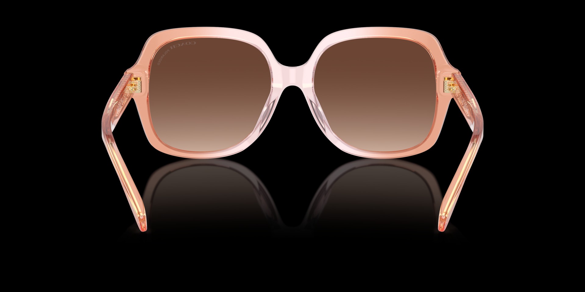 Coach Light Brown Acetate Women Sunglass