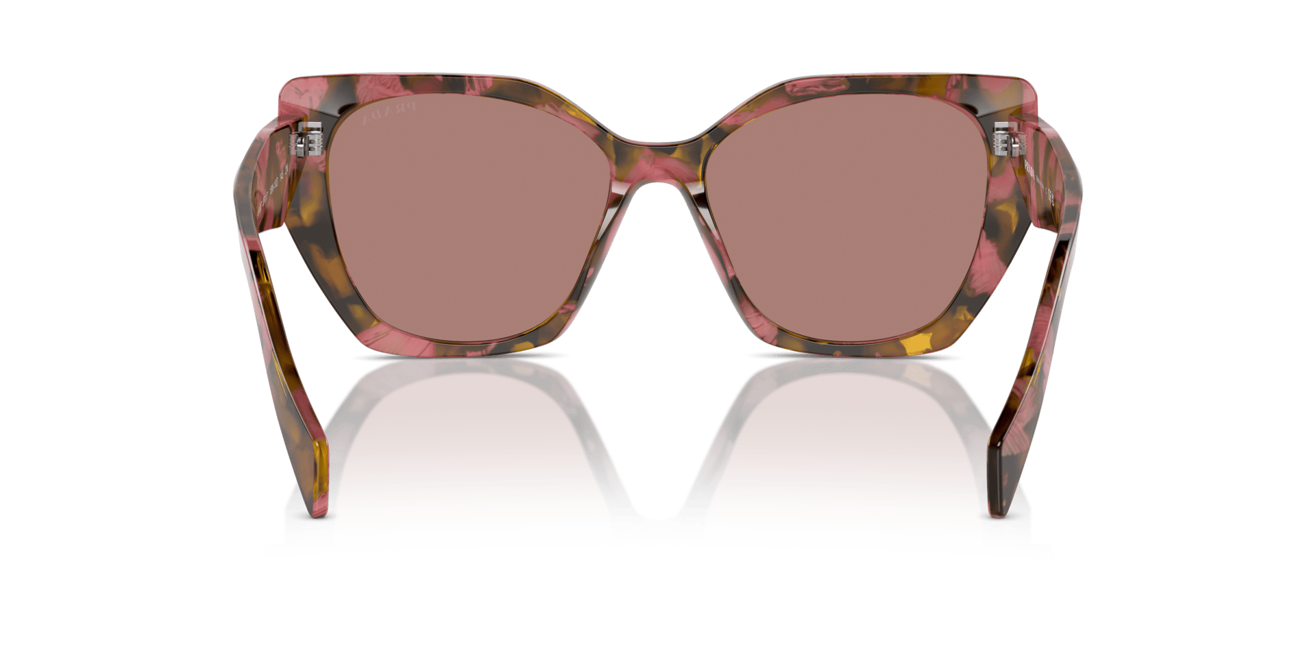 0PR 19ZS Acetate Women Sunglasses