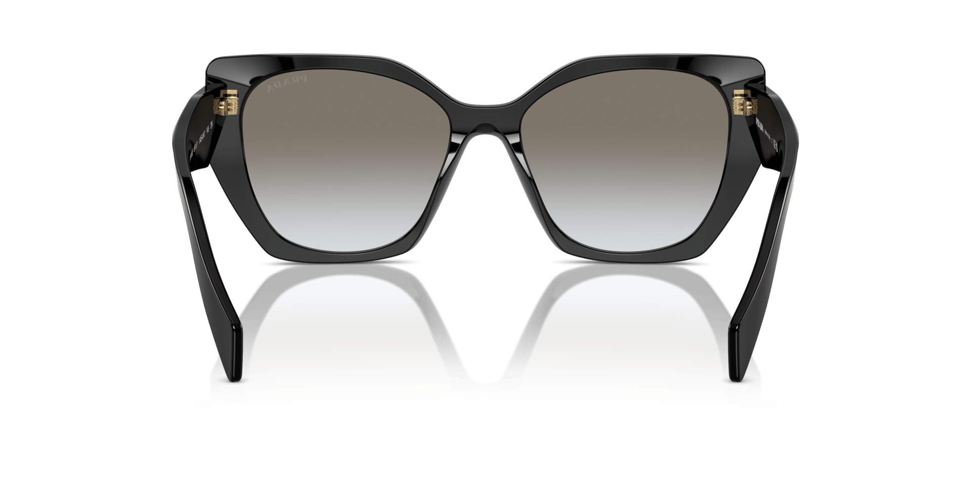 0PR 19ZS Acetate Women Sunglasses