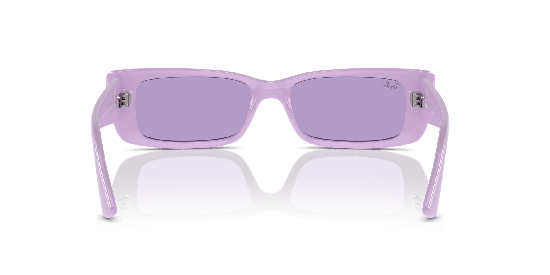 0RB4425 Injected Unisex Sunglasses