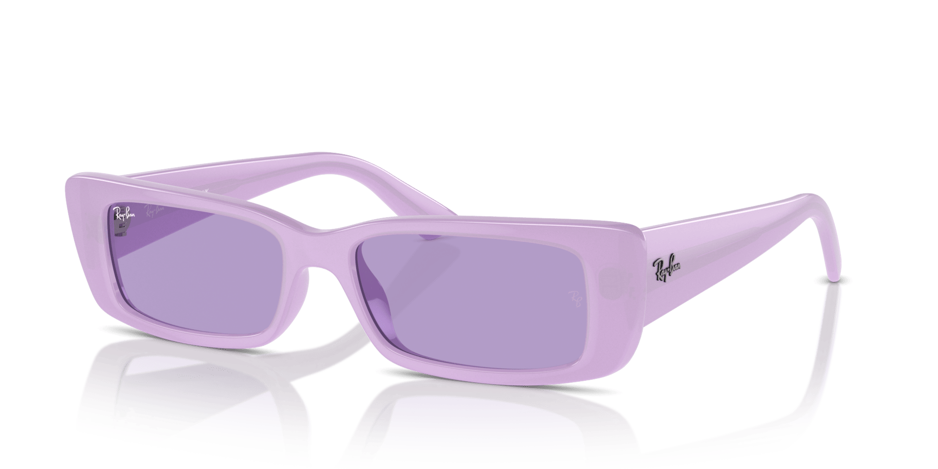 0RB4425 Injected Unisex Sunglasses