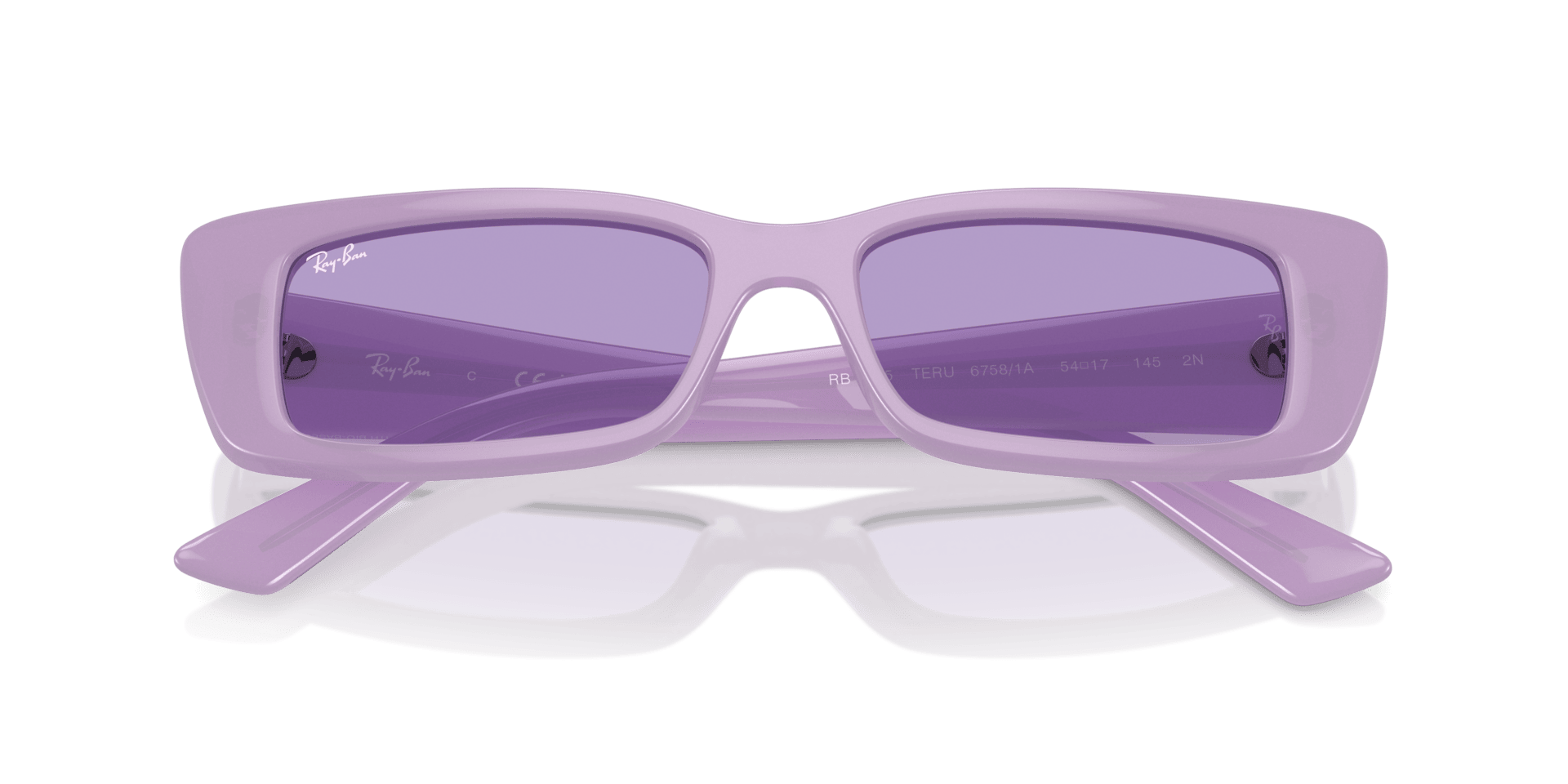0RB4425 Injected Unisex Sunglasses