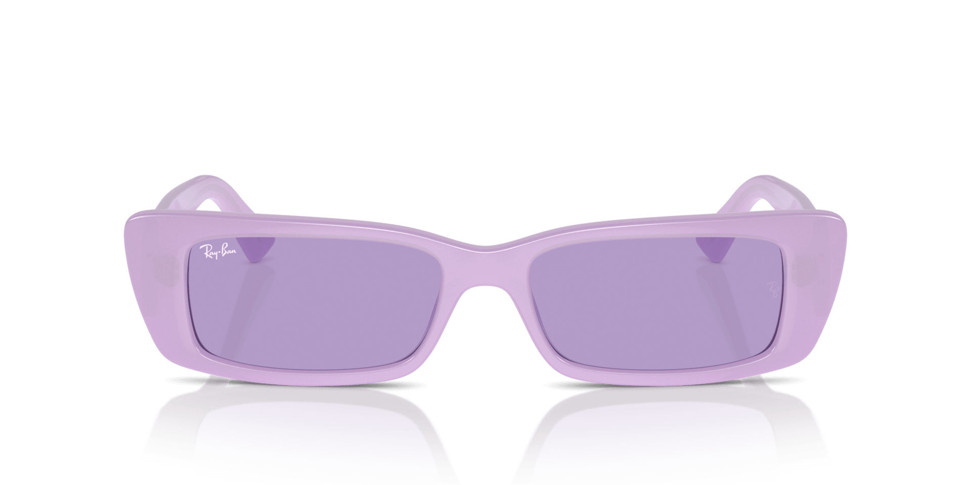 0RB4425 Injected Unisex Sunglasses