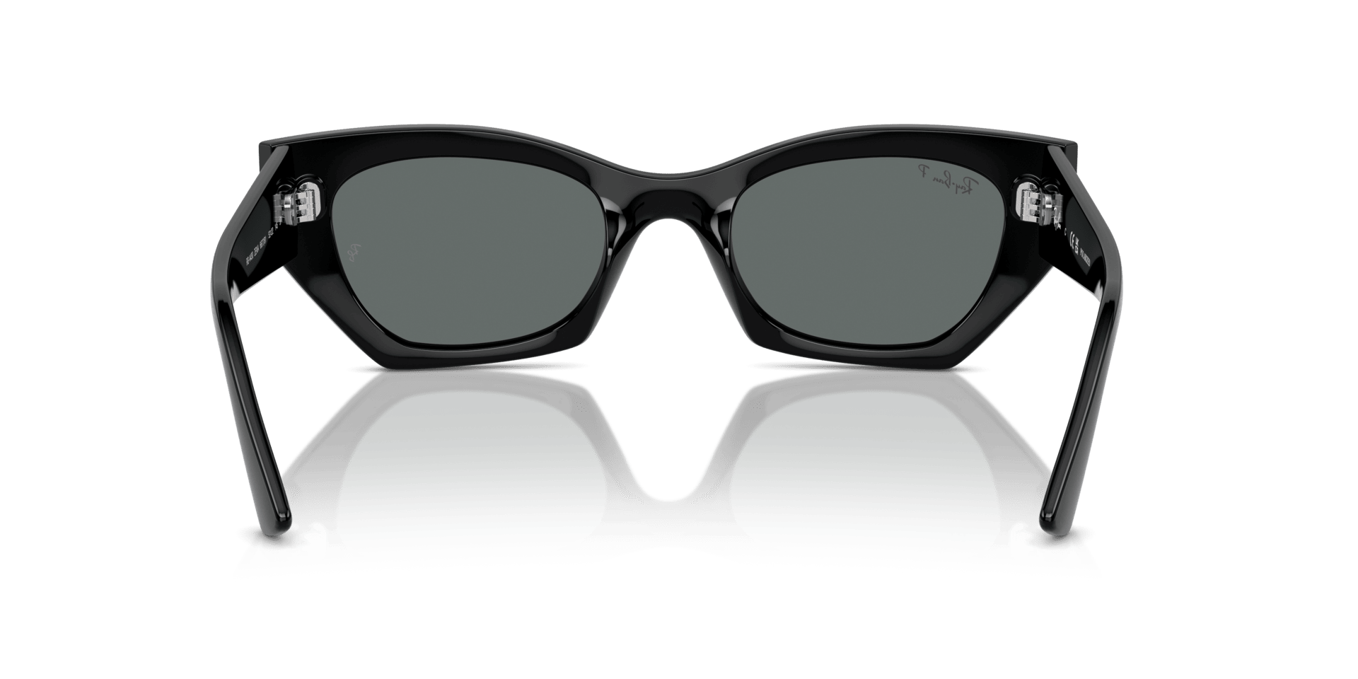 0RB4430 Injected Unisex Sunglasses