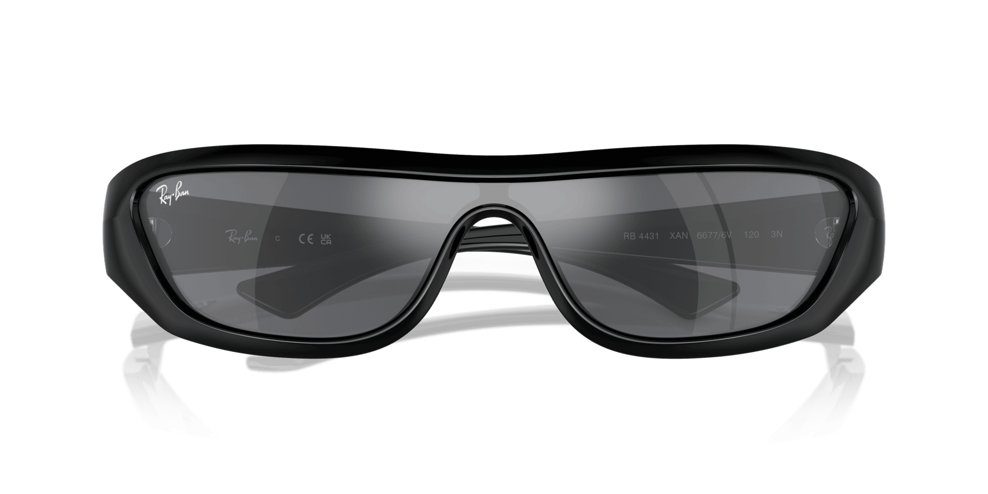 0RB4431 Injected Unisex Sunglasses