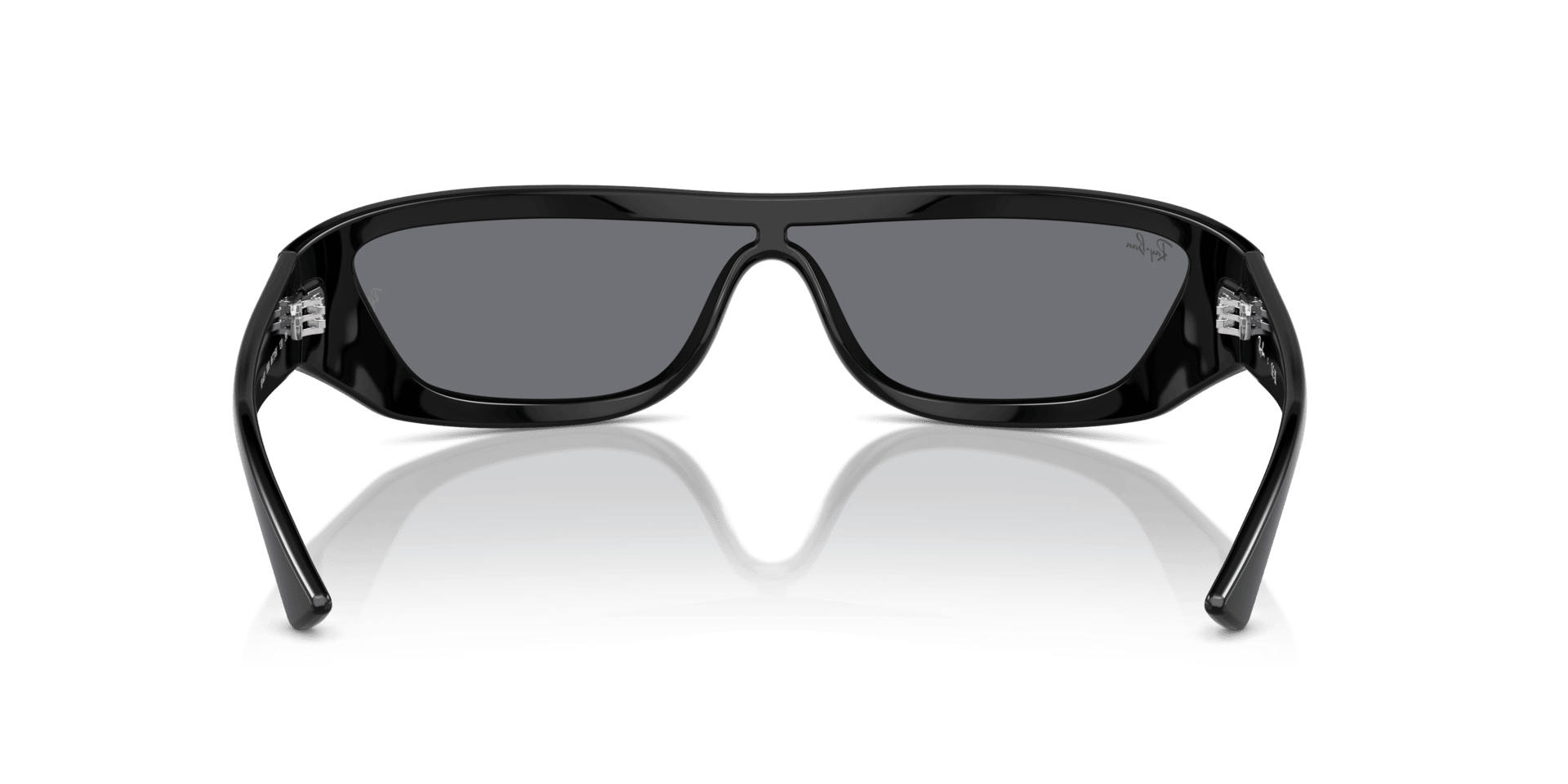 0RB4431 Injected Unisex Sunglasses
