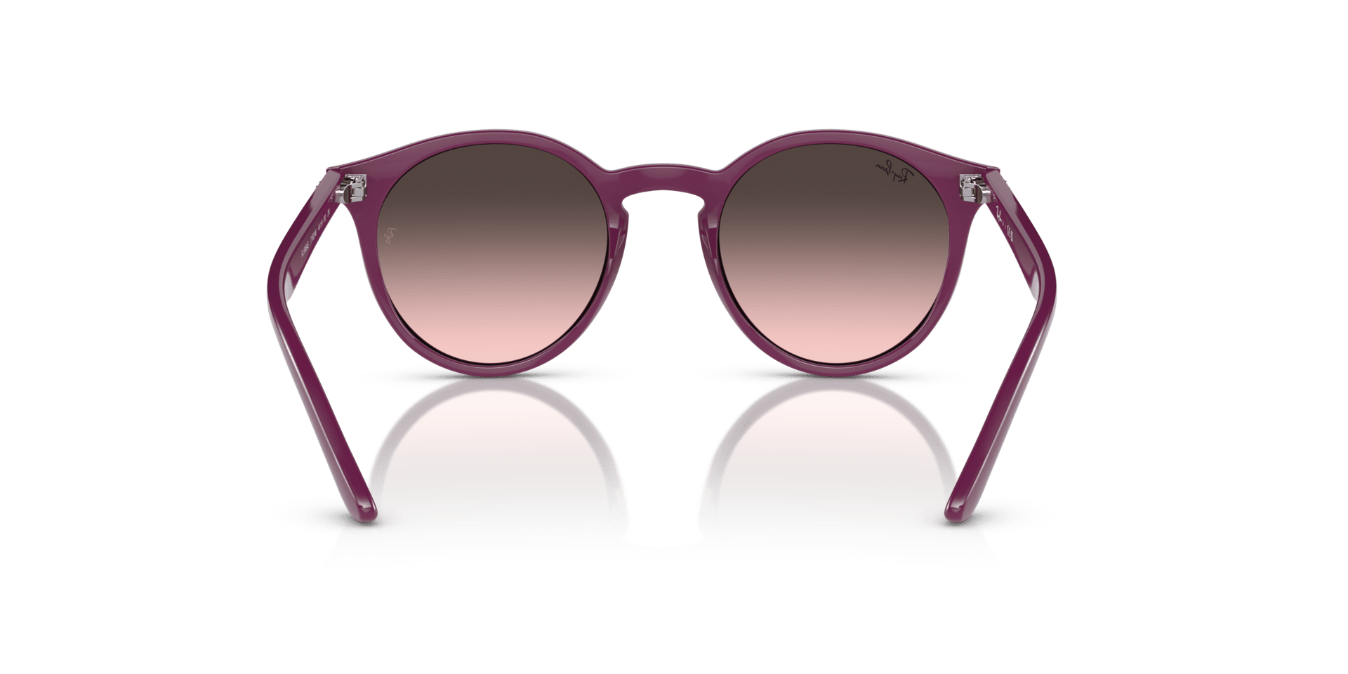 0RJ9064S Injected Unisex Sunglasses