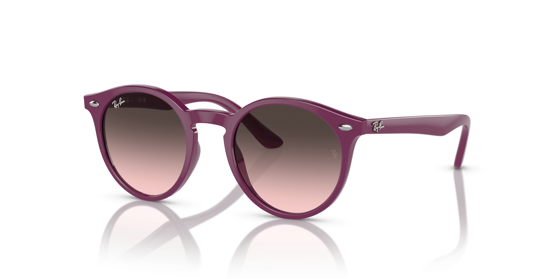 0RJ9064S Injected Unisex Sunglasses