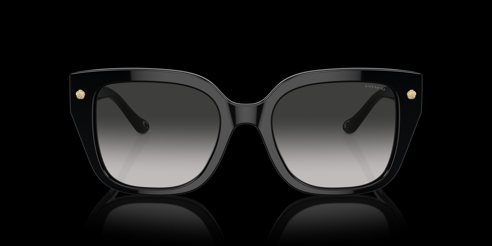 Coach Black Acetate Women Sunglass