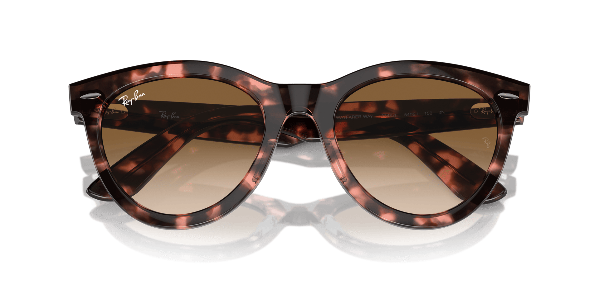 0RB2241 Propionate Unisex Sunglasses