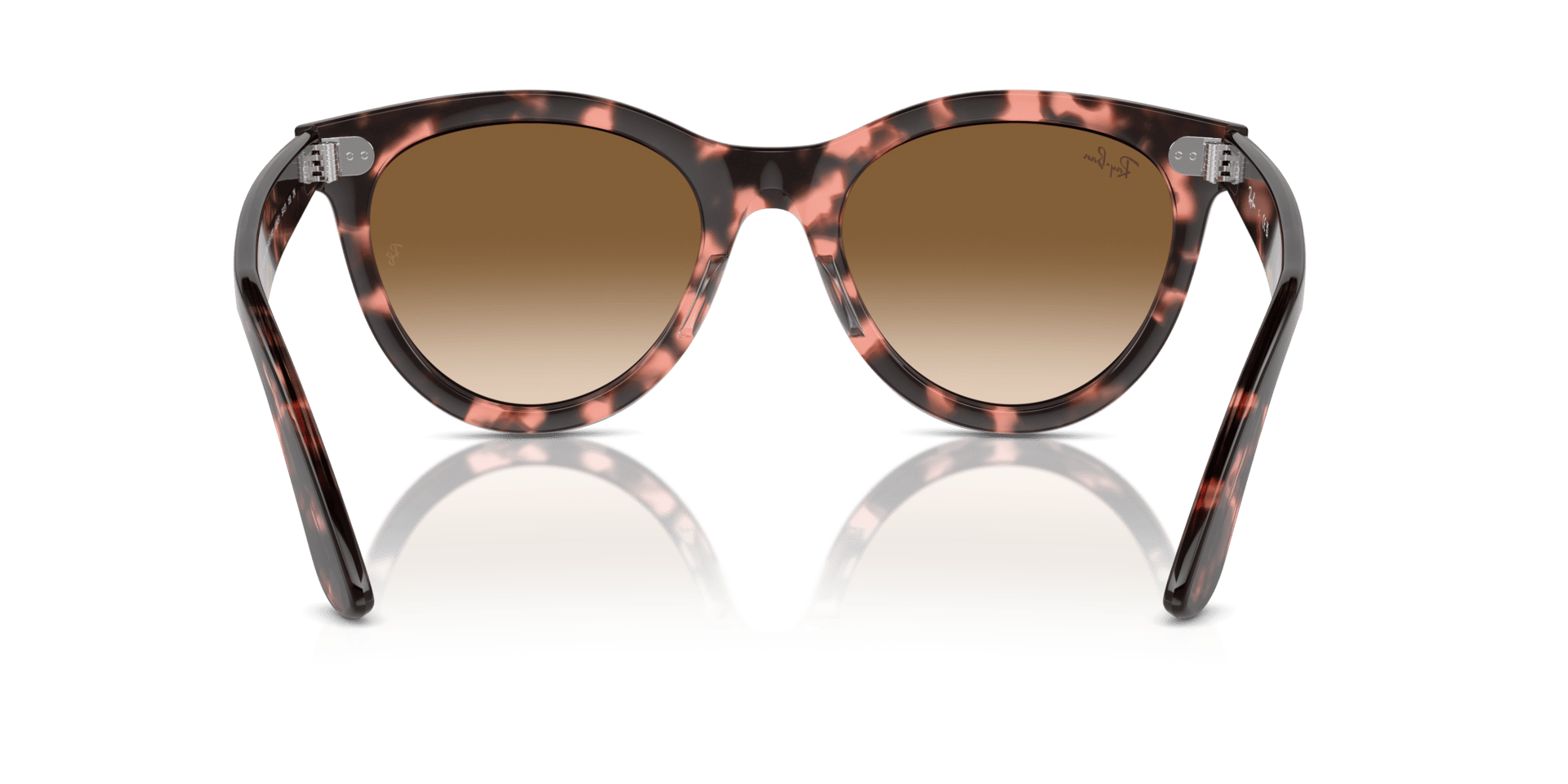 0RB2241 Propionate Unisex Sunglasses