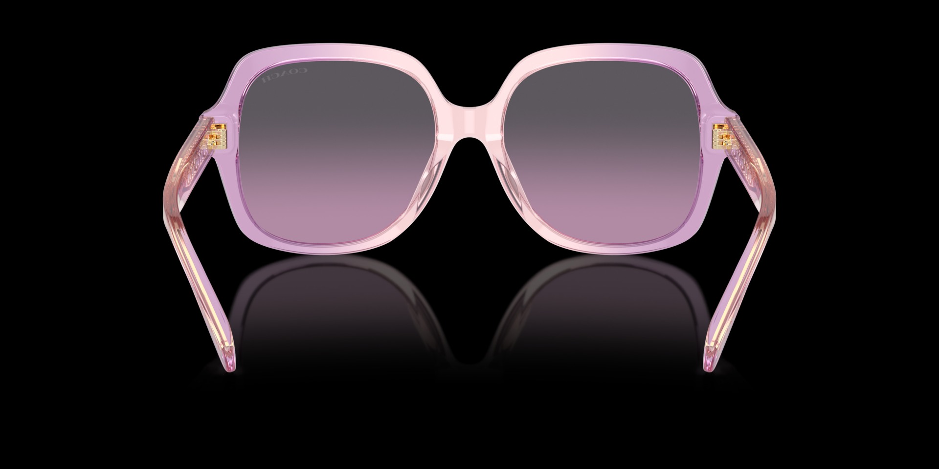 Coach Violet Acetate Women Sunglass