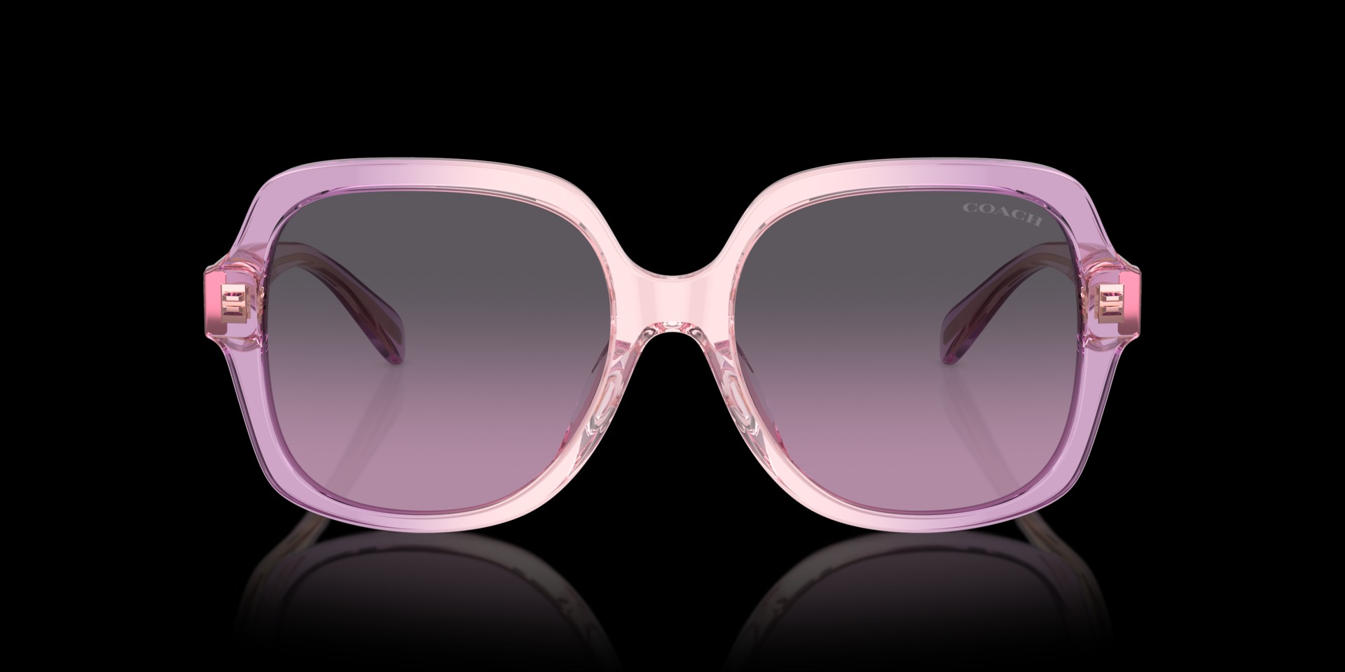 Coach Violet Acetate Women Sunglass