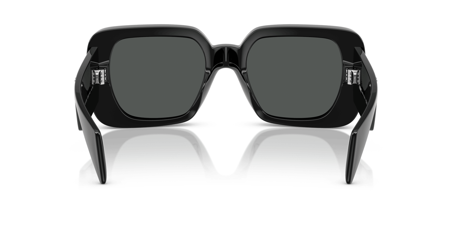0VE4473U Injected Women Sunglasses